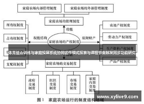 体育组合训练与家庭投屏系统协同运作模式探索与课程节奏触发同步功能研究