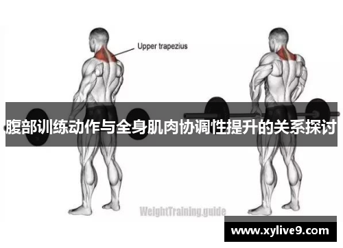 腹部训练动作与全身肌肉协调性提升的关系探讨